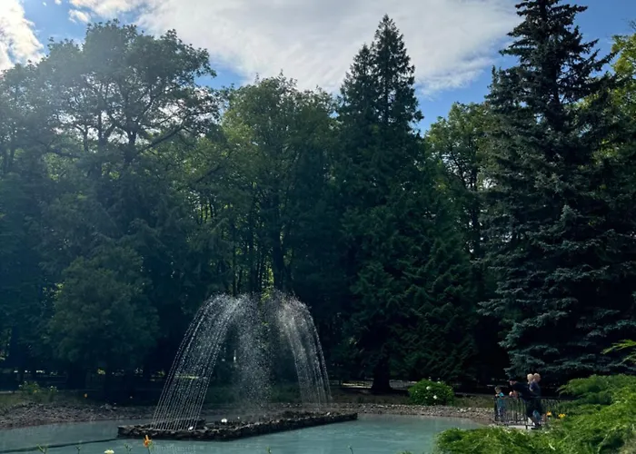 Jantar Polanica-Zdroj